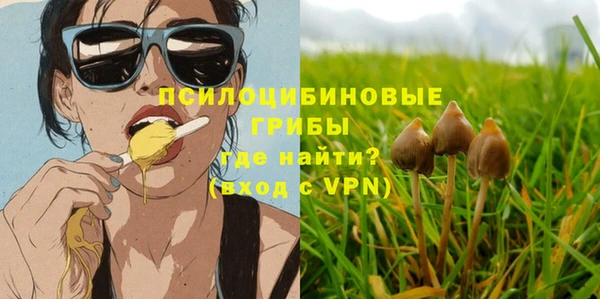 mix Корсаков