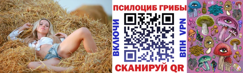 Галлюциногенные грибы прущие грибы  Купить закладки  Североморск 